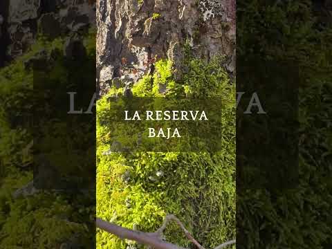 Lot in La Reserva Baja, Camino Lago Lolog