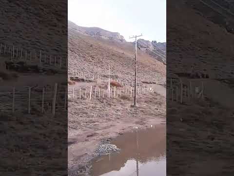 3,200 m² Plot of Land for Sale in Altos de la Vega, San Martín de los Andes