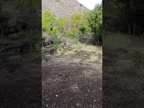 Land for Sale: 1,200 m², Chapelco Village, San Martín de los Andes
