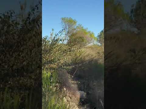Land in Villa Giardino, a Great Opportunity in the Sierras