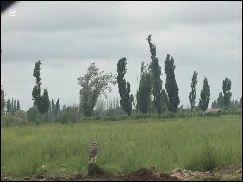13-hectare plot of land just a few meters from Route 7 in Luján de Cuyo