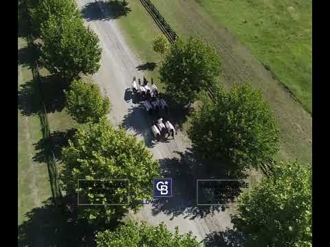 Interior Lot for Sale in Technopolo, General Rodriguez, Pilar