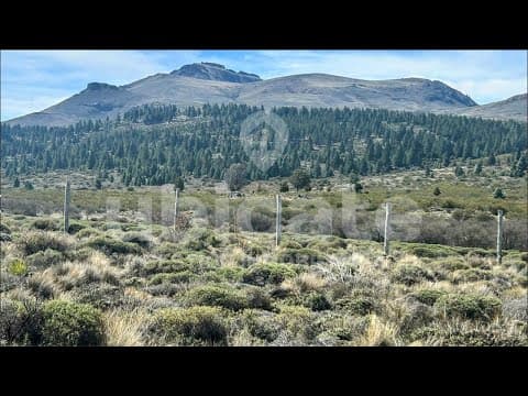 Land in Barrancas de Dina Huapi