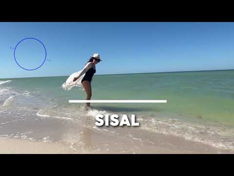 Oceanfront Lots in Sisal, Yucatán, with an Interest-Free Financing Plan
