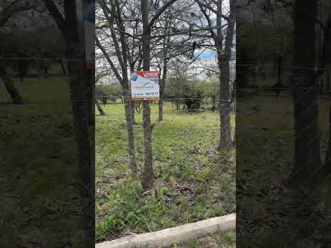 Land for Sale in Valle Hermoso