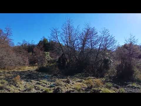 2,500 m² lot for sale - Section VIII-B - Meliquina - San Martín de los Andes
