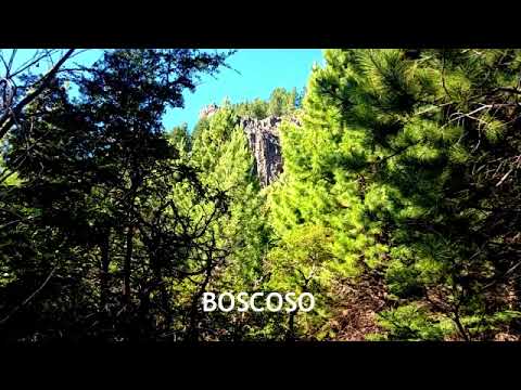 966 m² Plot of Land for Sale - Rio Hermoso - San Martín de los Andes