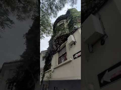 Eight-bedroom house for sale in Pocitos