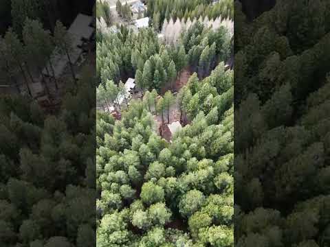 LAND FOR SALE: 780 MTS - EL REMANSO NEIGHBORHOOD - SAN MARTIN DE LOS ANDES