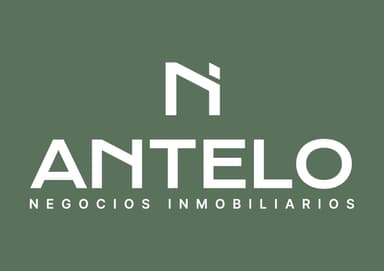 Antelonegociosinmob