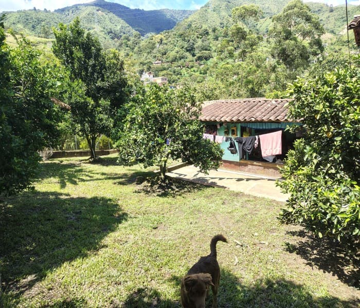 Property for Sale in Angelopolis, La Estación Neighborhood