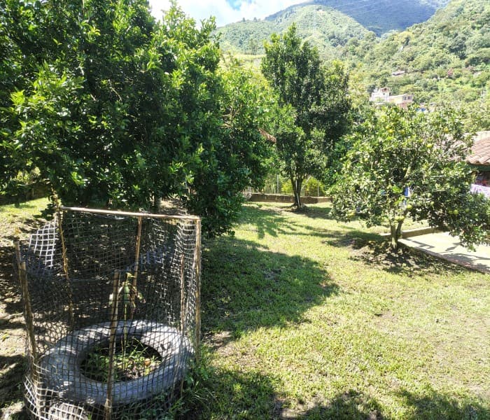 Property for Sale in Angelopolis, La Estación Neighborhood
