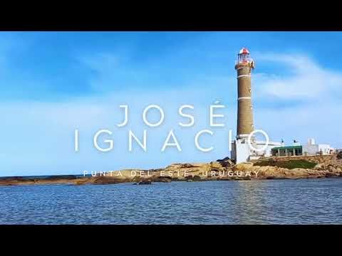 Nias in Jose Ignacio - TM43350