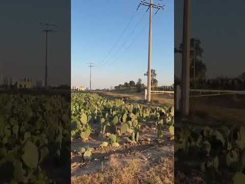 Land for sale, 3,827 m², Cacalotepec, San Andrés Cholula, Puebla