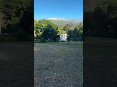 LAND FOR SALE IN VILLA GIARDINO