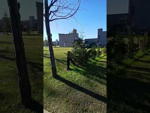 Prime-location lot, financing available, Domselaar Chico FOR SALE