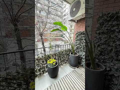 Belgrano Apartment for Sale