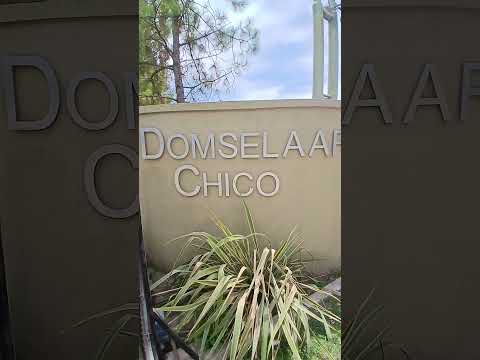 Corner house with park and pool, Domselaar Chico