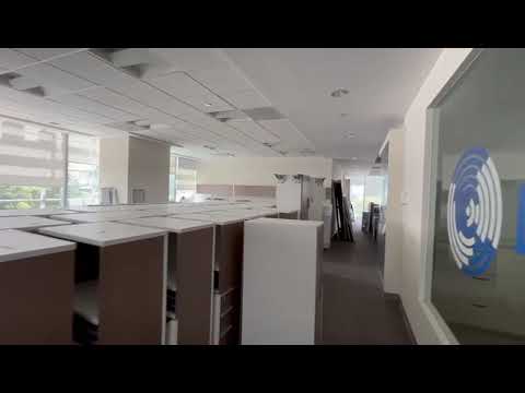 Office for Rent - Anzures - 4th Floor - 393 m2