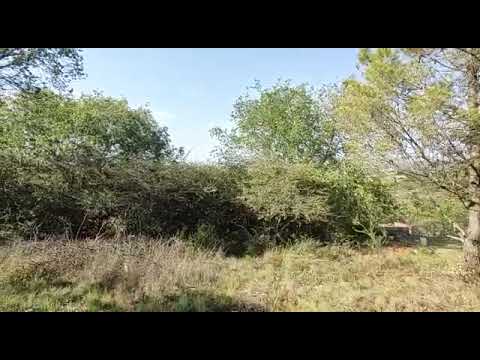 Land for sale in the Sierras of Córdoba, Villa Giardino
