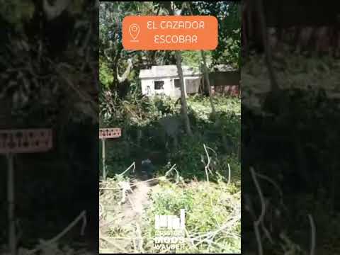 House in Need of Renovation for Sale - El Cazador Neighborhood