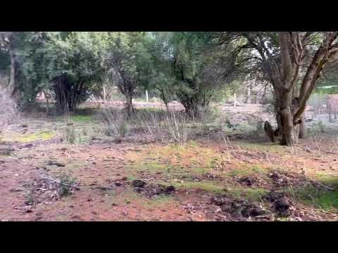 LAND FOR SALE IN VILLA LAGO LOLOG, 150 METERS FROM PLAYA BONITA