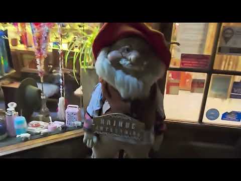 Business for Sale - Handicrafts - Downtown Area - San Martín de los Andes