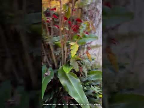 LARGE HOUSE IN ADROGUÉ WITH LAND! QUALIFIES FOR A LOAN!