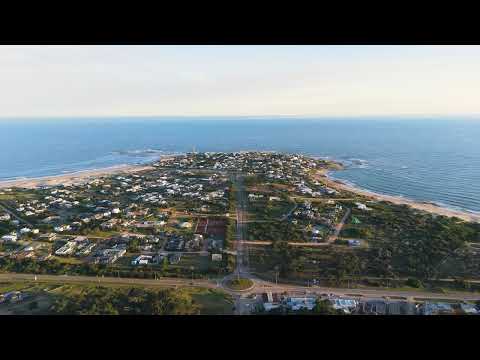 Nias in Jose Ignacio - TM43350