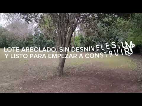 Land in Benavidez