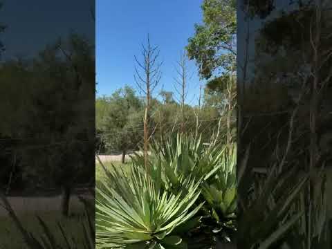 Land for Sale in La Falda