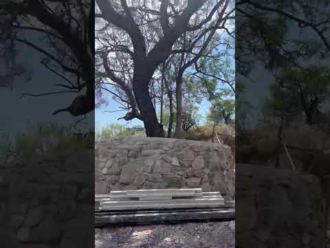 House for sale in La Cuesta: 3 bedrooms, 3 bathrooms, garage, security