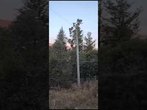 LAND FOR SALE IN VILLA GIARDINO
