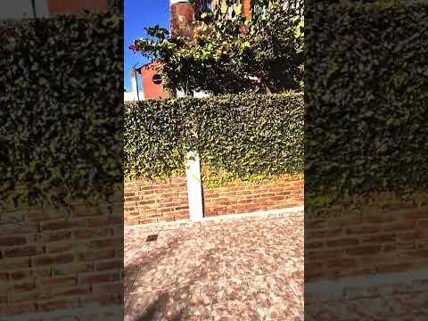 PH | 2 ROOMS | PATIO | SEPARATE ENTRANCE | POTENTIAL | SOUTH MORÓN