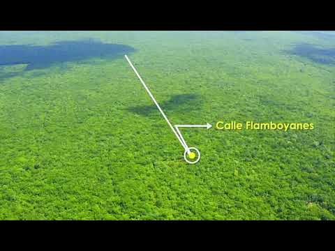 LAND FOR SALE IN CANCÚN IN LEONA VICARIO ON THE CANCÚN–MÉRIDA HIGHWAY