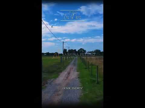 LAND FOR SALE IN THE LAS ROSAS NEIGHBORHOOD - MERLO