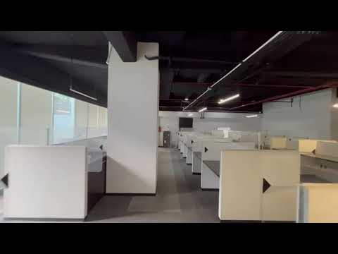 Office for Rent - Lomas de Chapultepec - Ground Floor and 1st Floor - 1,084 m²