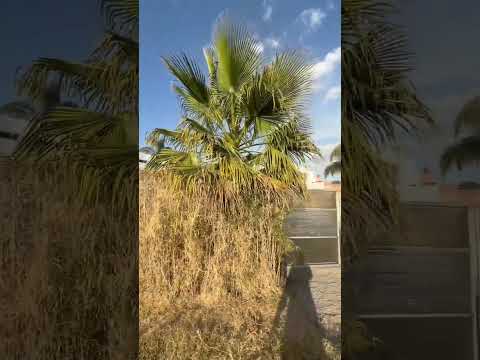 LAND FOR SALE IN THE SAN MARTINITO RESIDENTIAL AREA, SAN ANDRES, CHOLULA, PUEBLA
