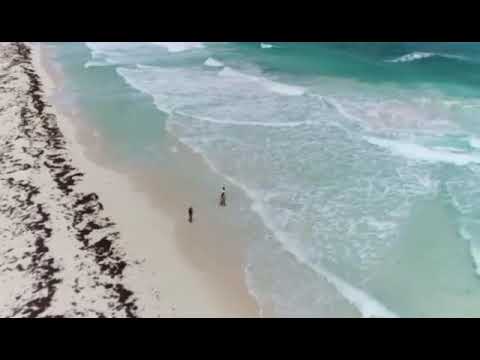 Oceanfront Lots in Playa Cozumel.