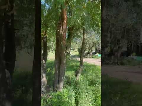 GREAT DEAL ON LAND IN HUERTA GRANDE PARQUE