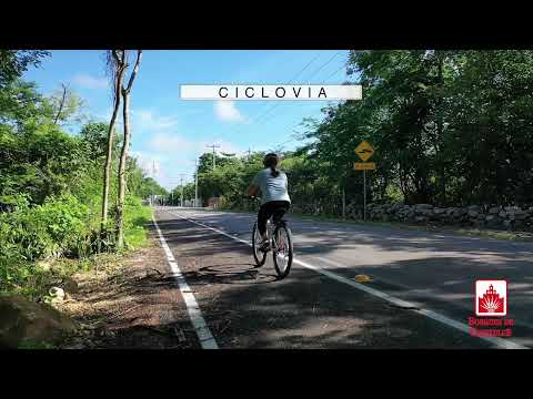 Residential Lots Starting at 2,339 m² in Bosques de Chicxulub