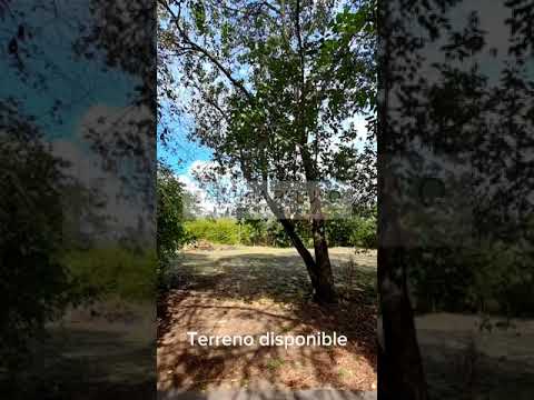 Land for Sale in the Paso del Rey Gated Community