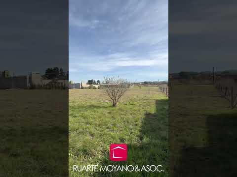 3 ADJACENT LOTS in the Crucero Sur Neighborhood | Electricity and Water