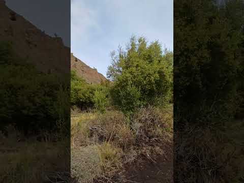 Land for Sale: 1,200 m², Chapelco Village, San Martín de los Andes