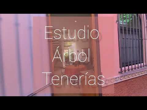 Loft for Rent with a Private Terrace in the Historic Center of San Miguel de Allende—All-Inclusive