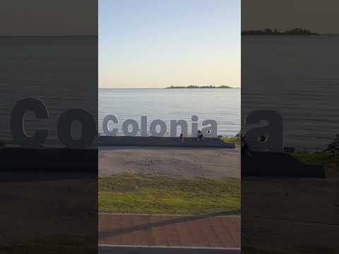 Apartment for Sale and Rent in Real de San Carlos
