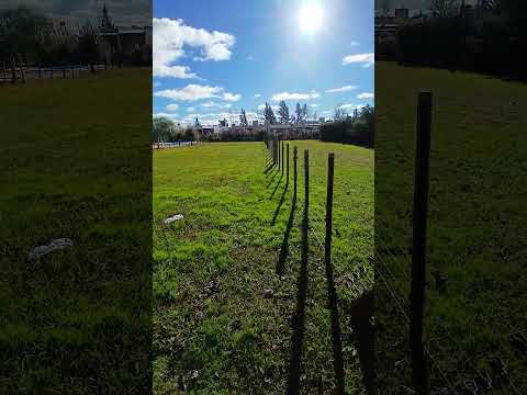 ONE-OF-A-KIND lot with deed, clear title, financing available, Domselaar Chico FOR SALE