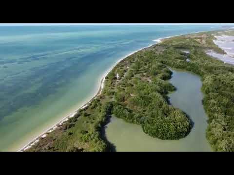 BEACHFRONT PROPERTY FOR SALE IN CELESTÚN, YUCATÁN | BEACH AND HIGH APPRECIATION POTENTIAL