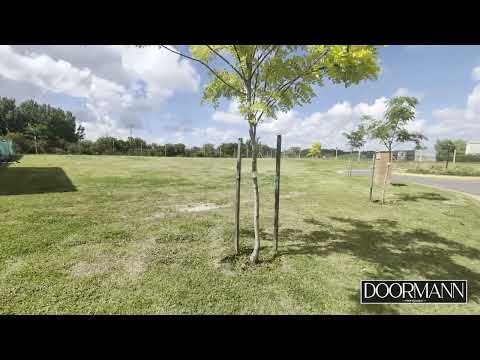 Land for Sale in Santa Ana Villanueva