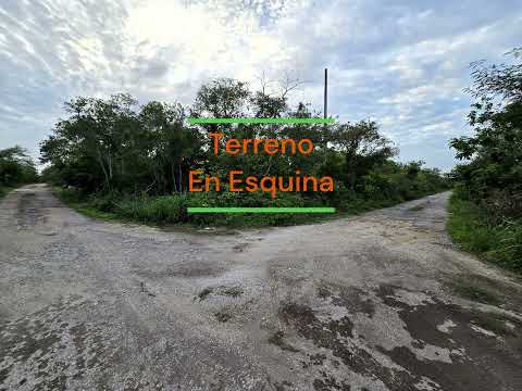 Residential Corner Lot on the Avenue in La Ceiba 2